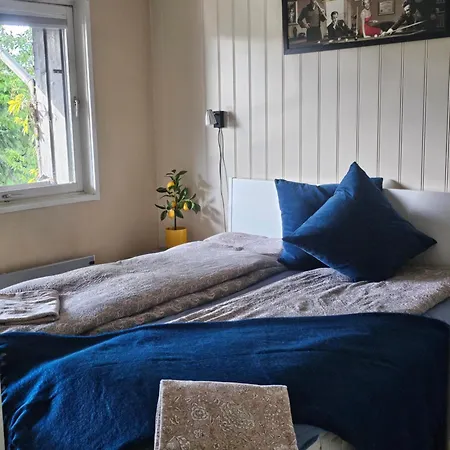 Feriehus House 5 *
