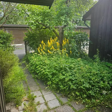 House 5 Oslo