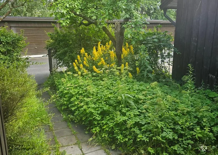 House 5 Oslo
